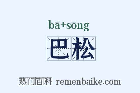 巴松是什么意思的图片